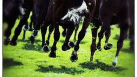 Breeders on ‘same page’ as regulator over doping controls
