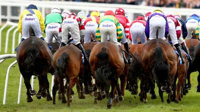 BHA set to drug test horses in Ireland ahead of British flat fixtures