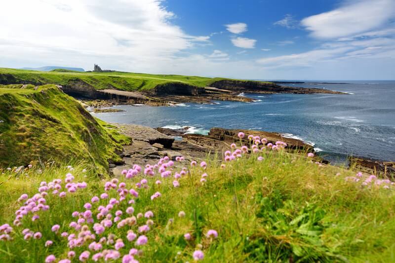 Ireland in summer is incomparable