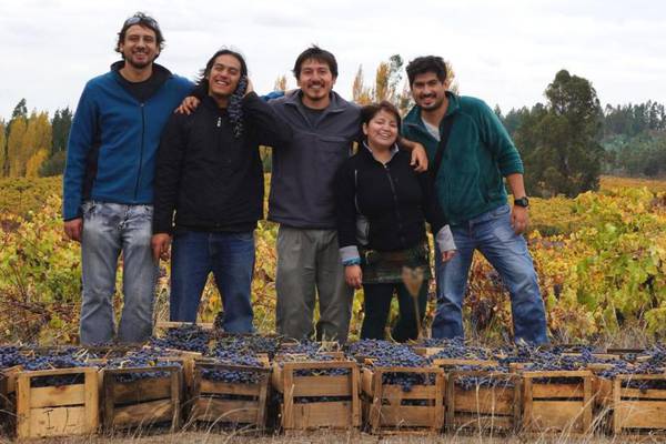 Chile’s newest wines from some of the oldest vines