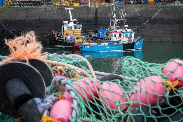 Fishermen fear London will deny North fair share of extra fish Brexit quota
