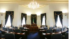 Report says emigrants ‘should get Seanad vote’