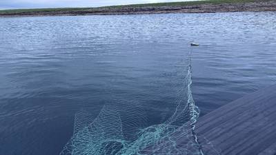 Four men convicted of illegal salmon angling offences in Co Sligo
