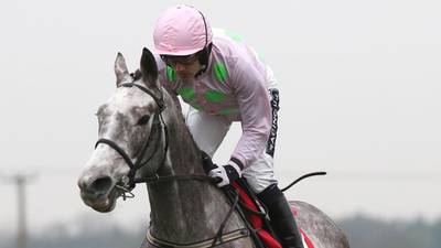 Champagne Fever sparkles on seasonal bow at Clonmel