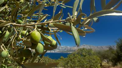 Have heart disease? Time to follow a Mediterranean diet