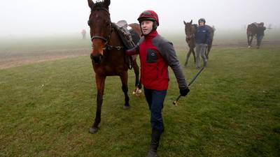 Mozoltov  can make up for lost time at Fairyhouse