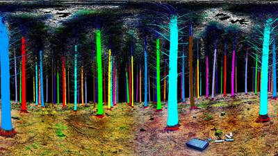 Forestry tech company Treemetrics logs huge growth plan