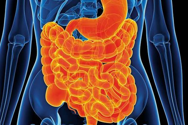 Make-up of gut microbiome may be linked to long Covid – study finds