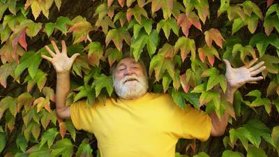 Naturalist David Bellamy dies aged 86