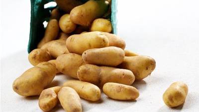 National Potato Day: Humble spud must fight  growing competition