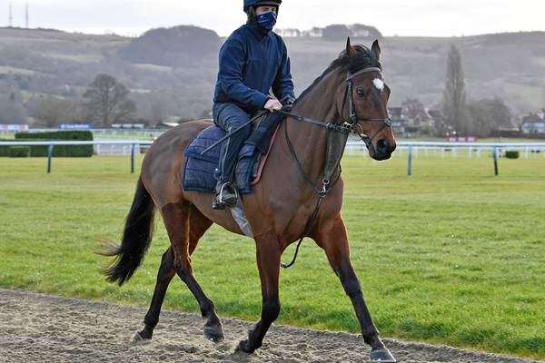 Cheltenham: Is Tiger Roll primed to deliver a mighty last stand?