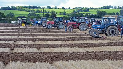 All roads lead to Offaly for ploughing championships