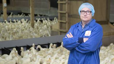 Selling duck into Asian markets from Monaghan farm