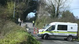 Six arrested after gardaí ‘attacked’ at site for asylum seekers in Wicklow