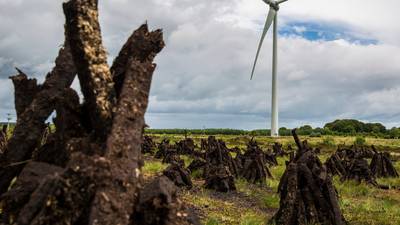Chinese bidder wins race for Gaelectric wind farms