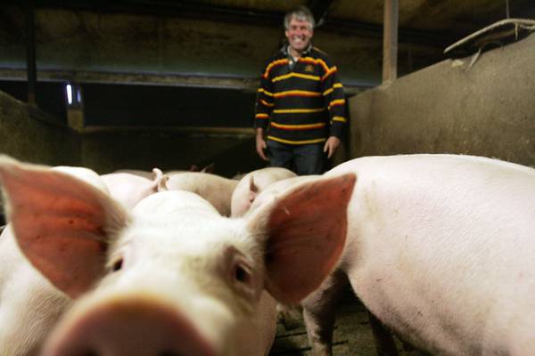 New pig levy to protect animal health will boost exports, says Creed