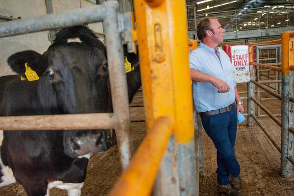 ‘I would be worried’: Cork farmers on Greens in government