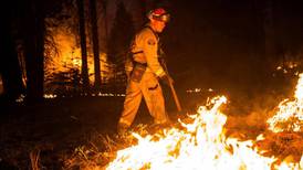 California wildfire burns deeper into Yosemite National Park