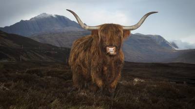 Highlands beauty a poor draw for doctors used to creature comforts