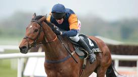 Rebel Fitz to run in first handicap over fences