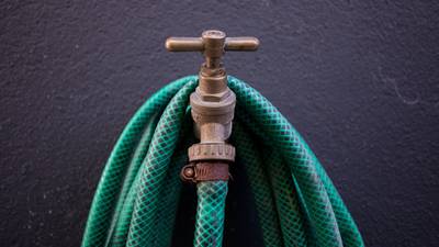 Too early to say if hosepipe ban being observed, says Irish Water