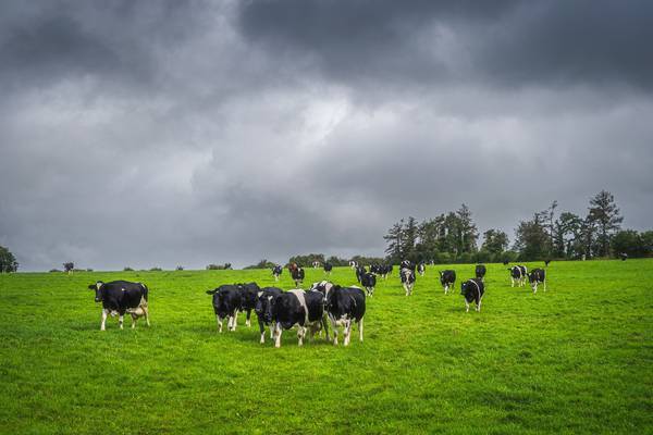 Energy and fertiliser price rise likely to cause long-term issues for farmers, Teagasc says