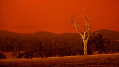 ‘Too late to leave’: Bushfires out of control across southeast Australia