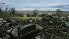 Inquiry into illegal dumping to be considered, Taoiseach says