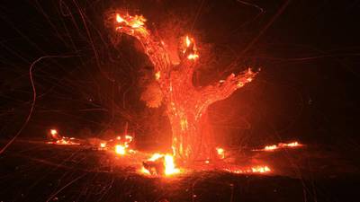Firefighters  battle  massive  California wildfire