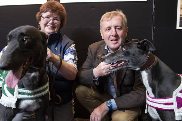 Irish Retired Greyhound Trust has rehomed more than 5,000 dogs