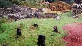 Impact of Great Famine on mental health examined at Science Week