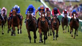 Legatissimo could spice up  Champion Stakes mix