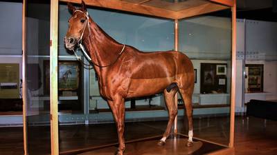 Kingdoms for a horse – Frank McNally on Phar Lap and the rules of equine nationalism