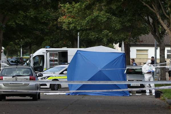 West Dublin murder: gardaí believe attackers waited for victim
