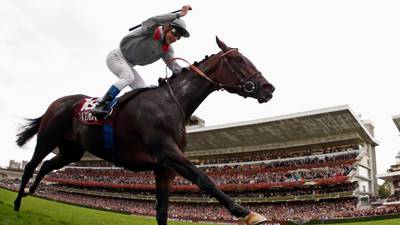 Terrific Treve makes it a one-horse show in Qatar Prix de l’Arc de Triomphe