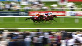 Harbour Law swoops close home for historic St Leger win