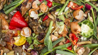 How positive behaviour can make a real difference in reducing food waste