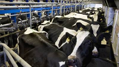 Irish start-up aims to cut emissions from dairy sector