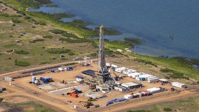 US senators praise Tullow Oil in call for regulatory action