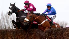 Cheltenham Gold Cup: Track holds no fears for Don Cossack