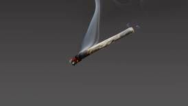 Cannabis legalisation: ‘It’s a bit like the anti-vaxx debate’