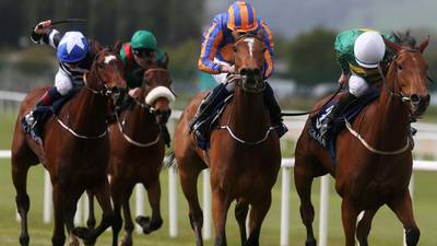 Found loses the edge at Curragh as Iveagh Gardens grows