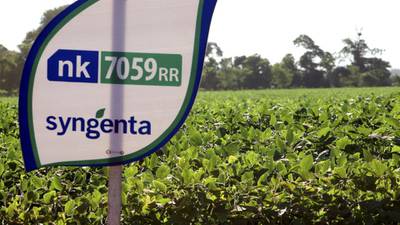 Syngenta plans cost cuts as profit drops