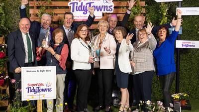 TidyTowns: Abbeyleix in Co Laois announced as winners