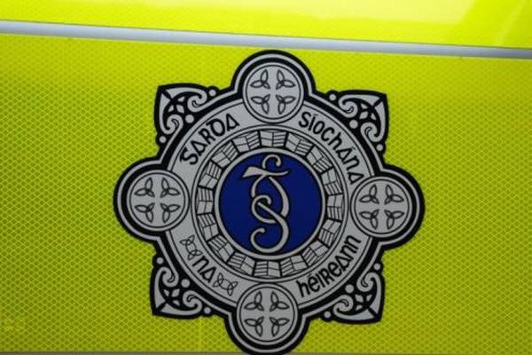 Gardaí hunting for gang in Midlands following burglary