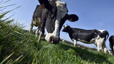 Ireland records biggest jump in milk output since quotas