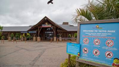 Tayto Park visitors forced to shelter in gift shop after three bison escaped from enclosure