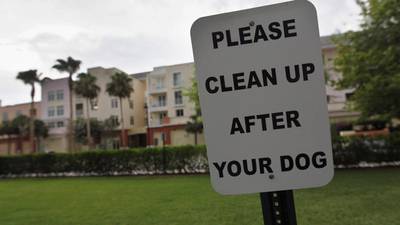 Total of 82 fines issued for dog fouling across the country in 2022
