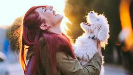 Man’s best friend: owning a dog really is good for your health