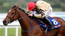 Shaneshill primed for victory at Fairyhouse